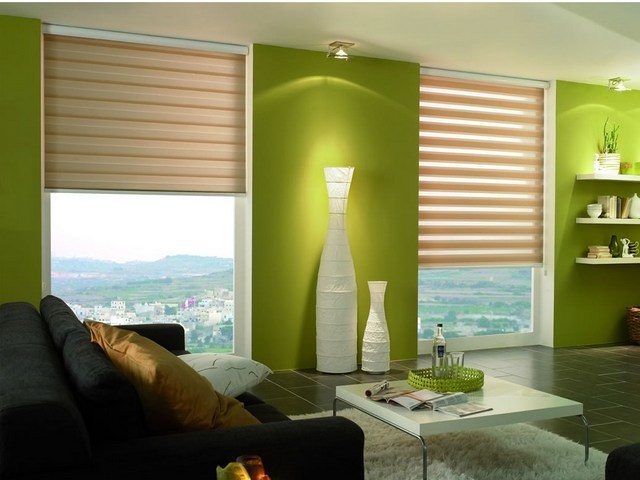 Ролл шторы день-ночь